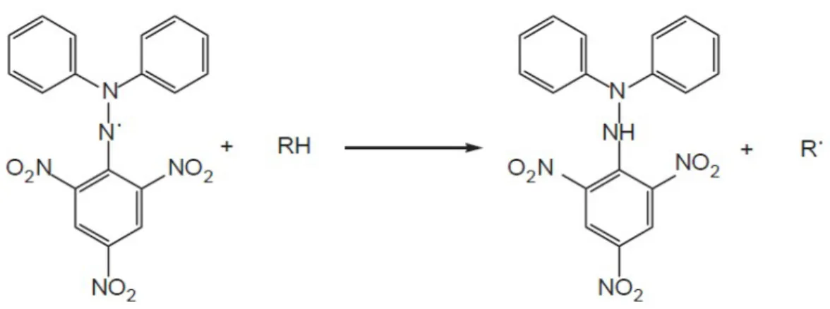 Gambar 2.3 Reaksi antara DPPH dengan atom H dari senyawa antioksidan  Parameter yang dipakai untuk menunjukan aktivitas antioksidan adalah  harga konsentrasi efisien atau Efficient Concentration (EC 50 ) atau Inhibitory  Concentration  (IC 50 ) yaitu konse