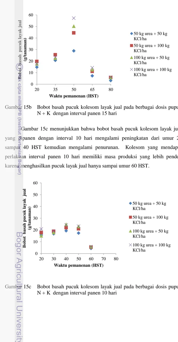 Gambar 15b    Bobot basah pucuk kolesom layak jual pada berbagai dosis pupuk  N + K  dengan interval panen 15 hari 