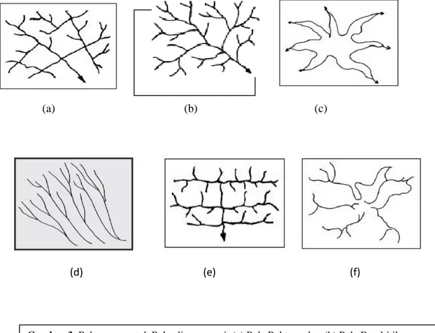 Gambar 3. Beberapa contoh Pola aliran sungai: (a) Pola Rektangular, (b) Pola Dendritik,   (c) Pola Radial Sentripugal, (d) Pola Paralel (e) Pola Trellis, dan (f)Pola Radial Sentripental 