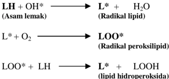 Gambar 4. Interaksi  sel  dengan  sinar  gamma sehingga terbentuk radikal bebas OH*
