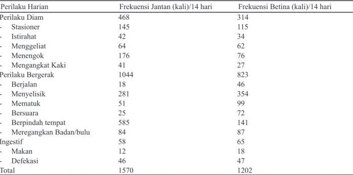 Tabel 1. Total Frekuensi Perilaku Harian Jantan dan Betina Elang Bondol
