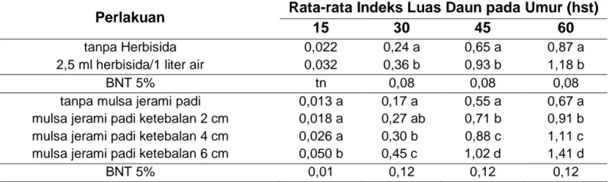 Tabel 7  Rata-rata  Indeks  Luas  Daun  Akibat  Perlakuan  Herbisida  dan  Mulsa  Jerami  Padii  terhadap Tanaman Jagung pada Berbagai Umur 