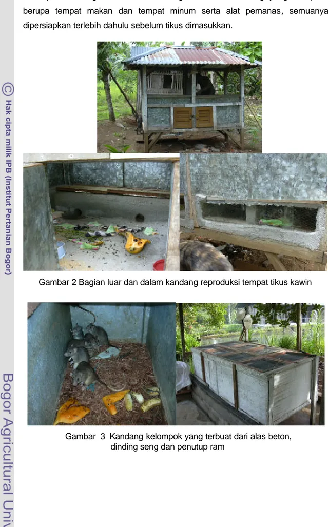 Gambar 2 Bagian luar dan dalam kandang reproduksi tempat tikus kawin