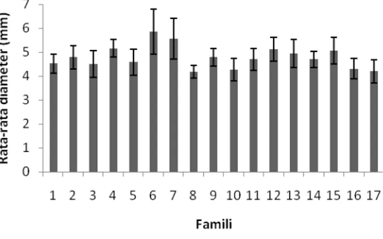 Figure 1. Mean of seedling’s height of the 17 families of nyawai at 8 months old.