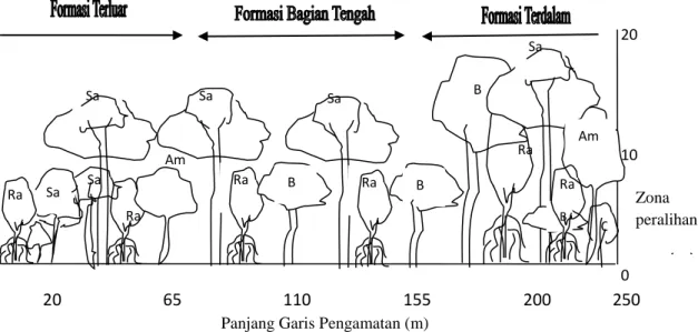 Gambar 5. Formasi jenis penyusun vegetasi mangrove  (Sumber : Analisis data primer 2013) 