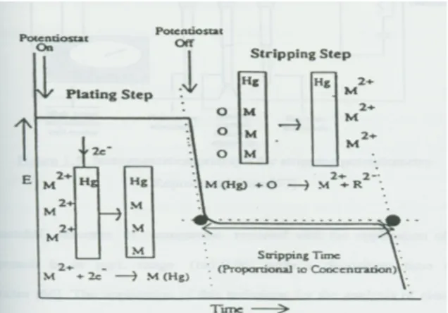 Gambar 1. Ilustrasi  untuk  proses  deposisi  dan  stripping  dalam  stripping  potensiometri  anodik  (Chow,  et  al.,  1994) 
