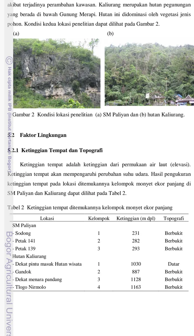 Tabel 2  Ketinggian tempat ditemukannya kelompok monyet ekor panjang  Lokasi  Kelompok  Ketinggian (m dpl)  Topografi  SM Paliyan 