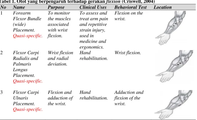 Tabel 1. Otot yang berpengaruh terhadap gerakan flexion (Criswell, 2004) 