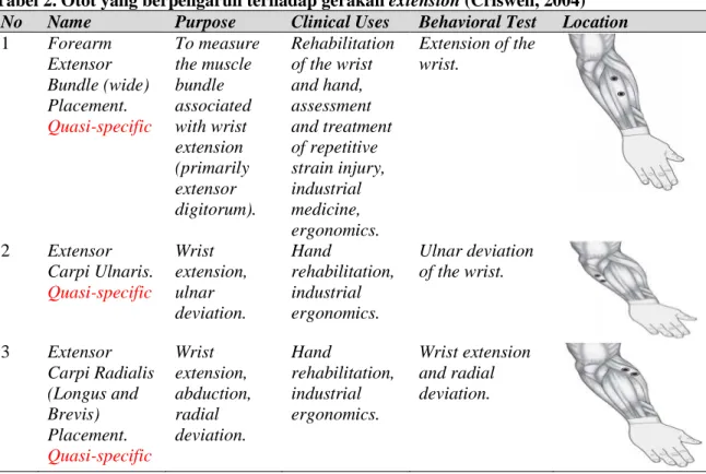 Tabel 2. Otot yang berpengaruh terhadap gerakan extension (Criswell, 2004)  No  Name  Purpose  Clinical Uses  Behavioral Test  Location   1  Forearm  Extensor  Bundle (wide)  Placement