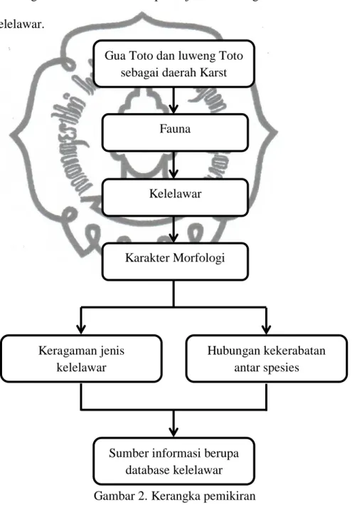 Gambar 2. Kerangka pemikiran Gua Toto dan luweng Toto 