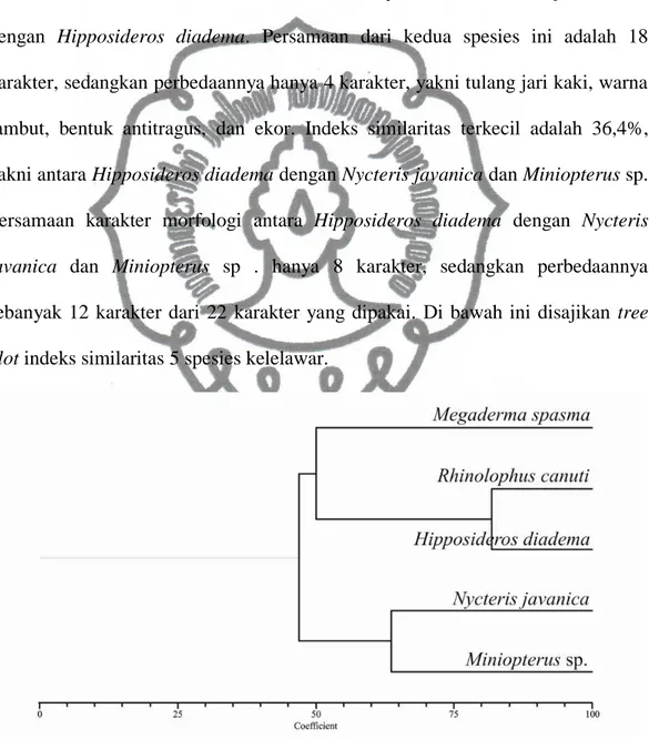 Gambar 3. Tree plot indeks similaritas 5 spesies kelelawar di Gua Toto  dan Luweng Toto 