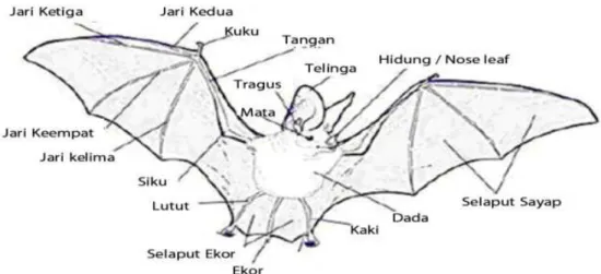 Gambar 2.1 Sumber : Rajesh Rajchal