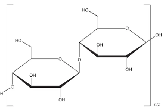 Gambar 4. Struktur molekul microcrystalline cellulose dengan jumlah n=220 (Guy, 2009) 
