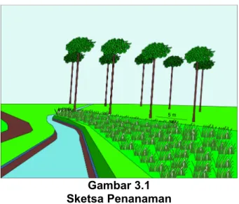 Gambar 3.1 Sketsa Penanaman