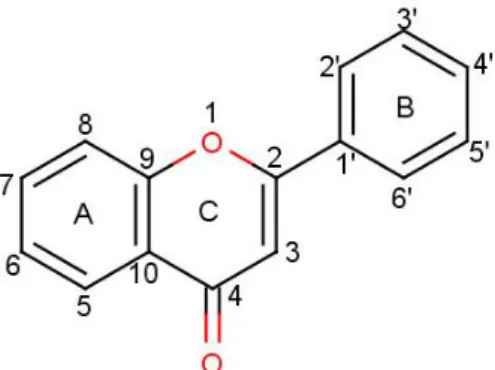 Gambar 3. Struktur dasar flavonoid 