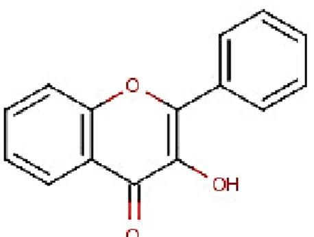 Gambar 4. Struktur dasar flavonol 