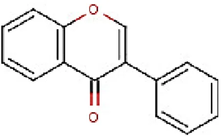 Gambar 6. Struktur dasar isoflavon 