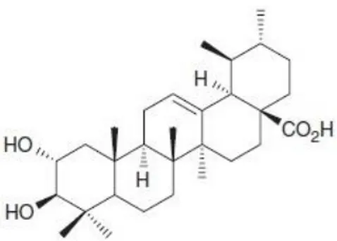 Gambar 2. Kandungan kimia daun bungur golongan triterpenoid. 