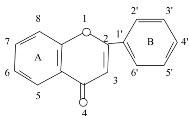 Gambar 1. Penomoran flavonoid (Robinson, 1995) b.  Penggolongan flavonoid
