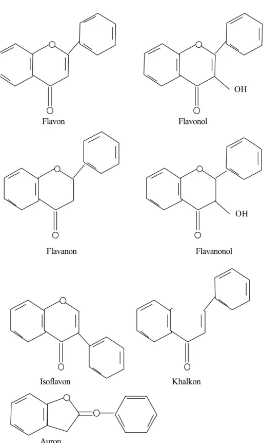 Gambar 3. Kerangka dari tipe -tipe flavonoid (Mabry,  et al. , 1970)OH