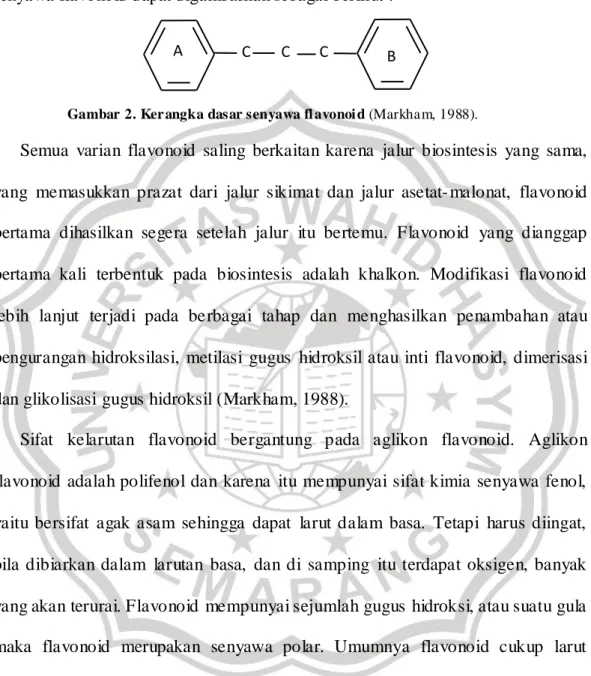 Gambar  2. Ker angka dasar senyawa fl avonoi d (Markha m, 1988). 