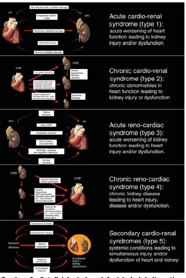 Gambar   2.   Patofisiologi   dan   defenisi   dari   kelima   tipe sindroma kardio renal dikutip dari Ronco dkk (2010)