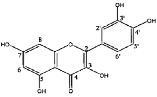 Gambar 2.5 Struktur Kimia Kuersetin (Herowati, 2008)  2.4.2 Antioksidan Sintetik 