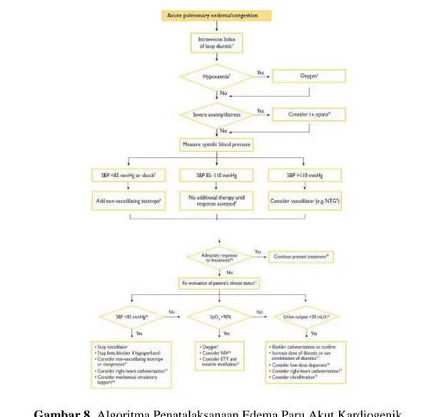 Gambar 8. Algoritma Penatalaksanaan Edema Paru Akut Kardiogenik   (dikutip dari ESC, 2012) 