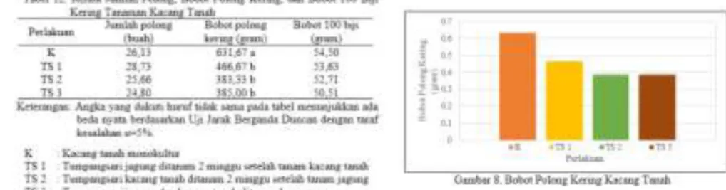Tabel 12 dan Gambar 8 menunjukkan perlakuan K memberikan hasil bobot polong  kering  terbaik  dari  perlakuan  lainnya,  sedangkan  perlakuan  TS  1,  TS  2  dan  TS  3  memberikan  hasil  polong  kering  yang  sama  dalam  sistem  tanam  tumpangsari  deng
