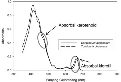 Gambar 1. Pola spektra dari S. duplicatum dan T. decurrens dalam pelarut aseton 