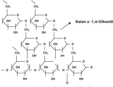 Gambar 4.   Struktur  Dekstran  α-1,6-Glikosidik dan Cabang α-1,4- α-1,4-Glikosidik (Robty, 1995) 