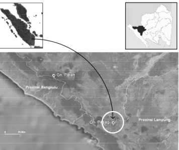 Gambar 1. Lokasi kawasan hutan lindung Gunung Pesagi,  Kabupaten Lampung Barat, Provinsi Lampung 