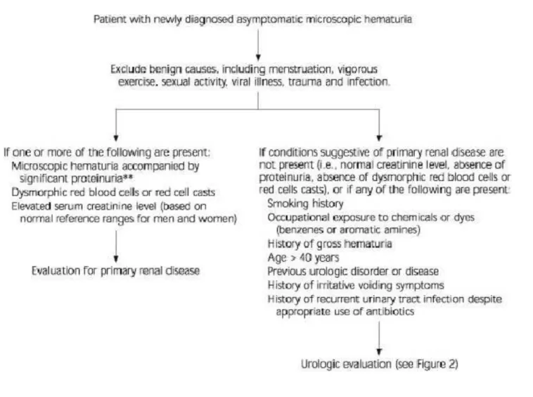 FIGURE 1. Initial Evaluation of Asymptomatic Microscopic Hematuria*