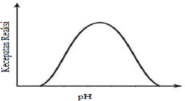 Gambar 2. Hubungan kecepatan reaksi dengan pH (Winarno, 1989). 