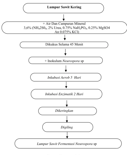Diagram 1. Proses fermentasi lumpur sawit dengan Neurospora sp  