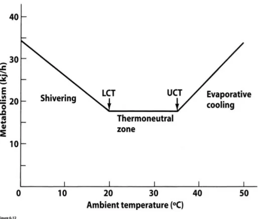 Gambar 1. Grafik hubungan temperatur lingkungan dengan laju metabolisme