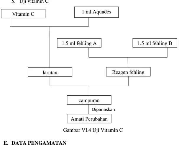 Gambar VI.4 Uji Vitamin C Dipanaskan  Vitamin C 1 ml Aquades larutan 1.5 ml fehling A  1.5 ml fehling B Reagen fehling campuran Amati Perubahan 