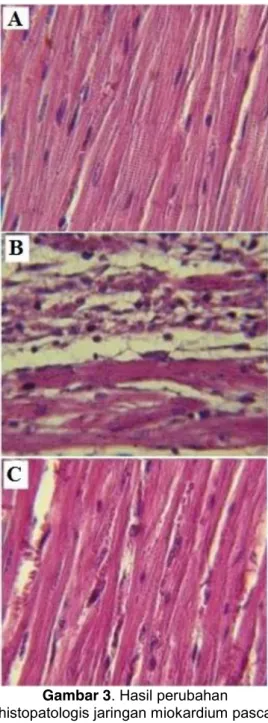 Gambar 2. Hasil pemberian probiotik  terhadap TNF-α sebagai biomarker  inflamasi pasca induksi iskemia miokard  menggunakan isoproterenol pada sampel 