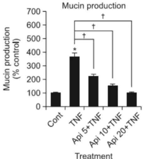 Gambar 1. Proses anti-inflamasi  apigenin pada sel MKN45 yang terinfeksi 