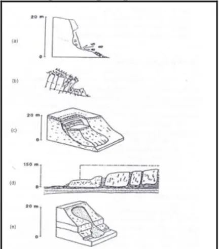 Gambar  1.  Tipe  gerakan  massa  pembentuk  lereng  (Cruden  dan  Vernes,  1992 dalam Hardiyatmo, 2006) 