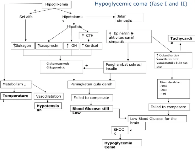 Gambar 2. Koma hipoglikemia. 3 