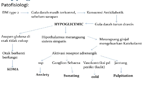 Gambar 1. Patofisiologi hipoglikemia. 5 