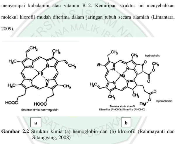 Gambar  2.2  Struktur  kimia  (a)  hemoglobin  dan  (b)  klrorofil  (Rahmayanti  dan  Sitanggang, 2008) 