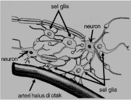 Gambar Pembuluh Darah di Otak