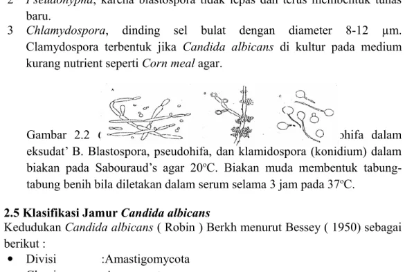 Gambar   2.2  Candida   albicans  A.   Blastospora   dan   pseudohifa   dalam eksudat’ B