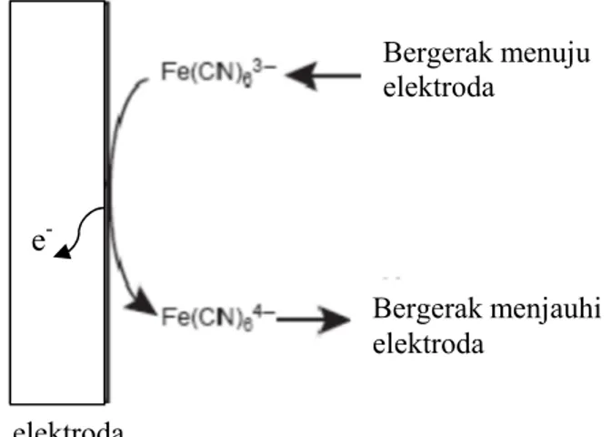 Gambar 2.3 Transport ion Fe(CN) 6 3-