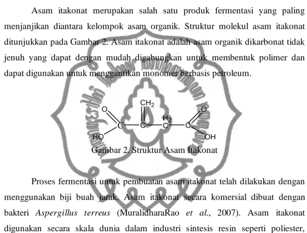 Gambar 2. Struktur Asam Itakonat 