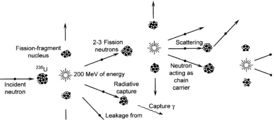 Gambar 1. Skema reaksi fisi berantai (Stacey, 2006) 