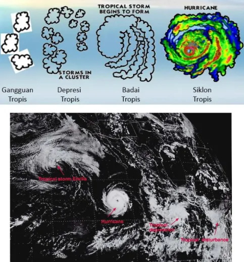 Foto satelit memperlihatkan keempat tahap pertumbuhan siklon tropis. 