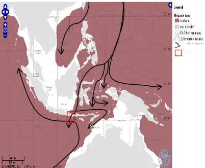 Gambar 1. Distribusi dan pola migrasi ikan cakalang  di Indonesia. Kotak warna merah menunjukkan lokasi 